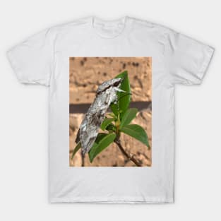 The Moth T-Shirt